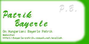 patrik bayerle business card